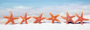 blog viaggi